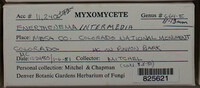 Image Associated With the Occurence